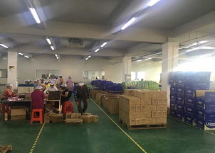 聚壹生物 商丘洗衣片代加工與信息咨詢服務專家