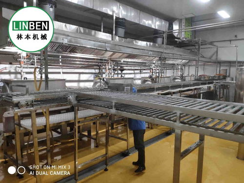 央廚設(shè)備 學(xué)生餐整套生產(chǎn)線